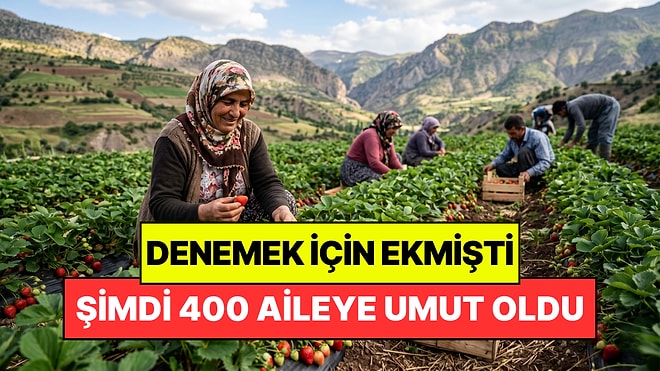 18 Yıl Önce Sadece Denemek İçin Ekti: Şimdi 400 Ailenin Geçim Kaynağı