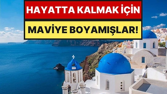 Yunan Adalarındaki Evler Meğer Bu Yüzden Maviymiş: Estetik Değil, Tamamen Çaresizlik