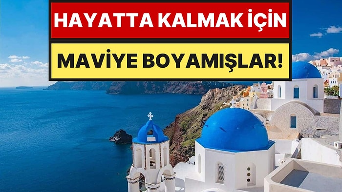 Yunan Adalarındaki Evler Meğer Bu Yüzden Maviymiş: Estetik Değil, Tamamen Çaresizlik