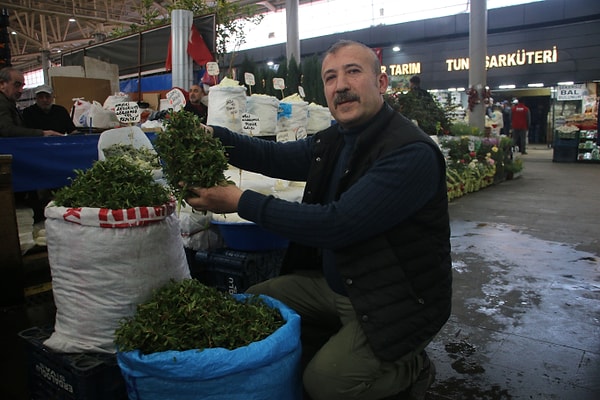 Toplayan kadınlar, madımağın sadece bir yemek değil, aynı zamanda bir şifa kaynağı olduğunu belirtiyor.