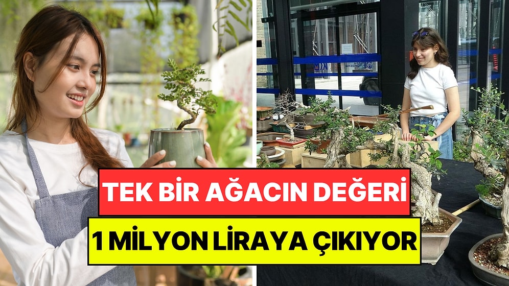 Şeklini Alması Onlarca Yıl Sürüyor: Tanesinin Değeri 1 Milyon Liraya Ulaşıyor