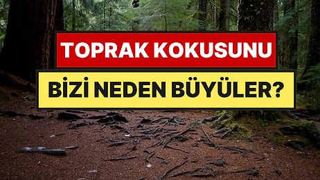 Yağmurdan Sonra Toprak Neden Bu Kadar Güzel Kokuyor?