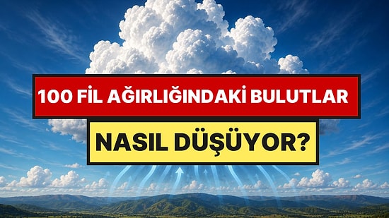Bir Bulut 100 Fil Ağırlığında: Peki Neden Kafamıza Düşmüyorlar?
