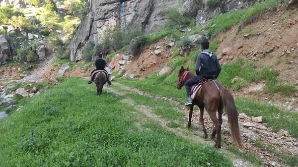 Sabahın ilk ışıklarında katırlarla yola düşüyorlar. Topladıkları doğal ürünlerin hem sağlığa hem ekonomiye faydası var.