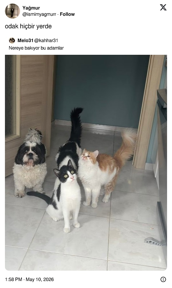 Nereye baktıkları da belli değil.