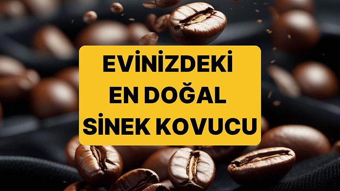 Türk Kahvesi Yakmak Böcekleri Kovmak İçin Gerçekten İşe Yarıyor mu?