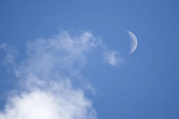 Intriguingly, while city lights may hinder our ability to see the stars at night, it can be easier to catch sight of the moon during the day.