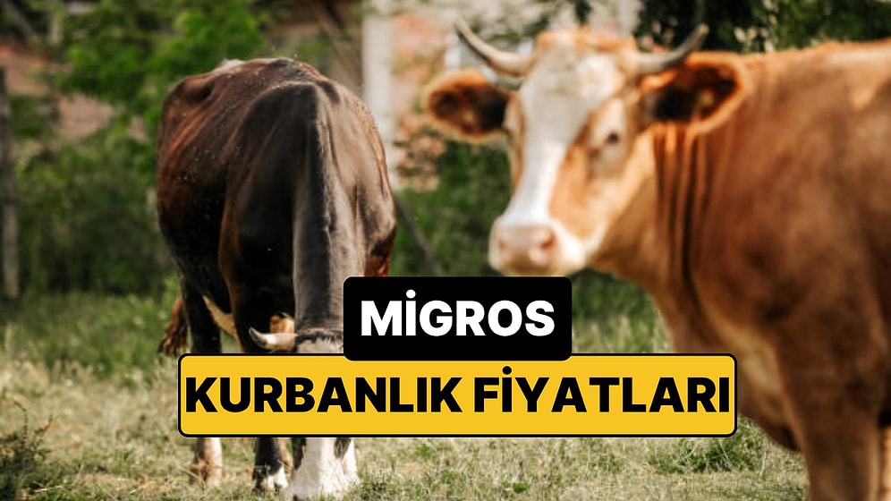 2026 Migros Kurbanlık Fiyatları Ne Kadar? İşte Migros Büyükbaş, Küçükbaş Fiyatları ve Taksit İmkanları