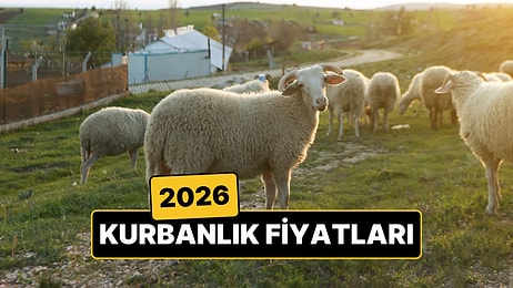 Kurban Fiyatları Belli Oldu: 2026 Küçükbaş ve Büyükbaş Kurbanlık Fiyatları Ne Kadar Oldu?