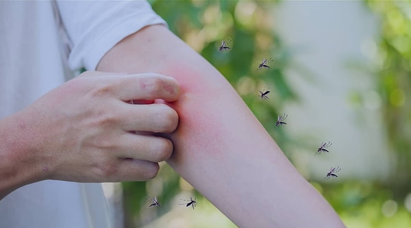 Lavanta, limon ve vanilyayla doğal sivrisinek spreyi hazırlanabilir