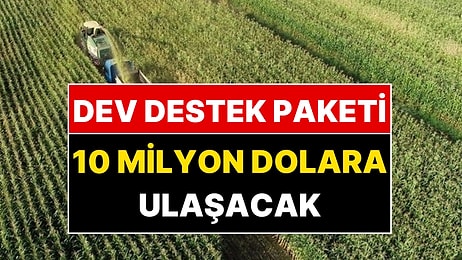 Cumhurbaşkanı Erdoğan Yeni Dev Projeyi Duyurdu: 10 Milyon Dolarlık Destek!