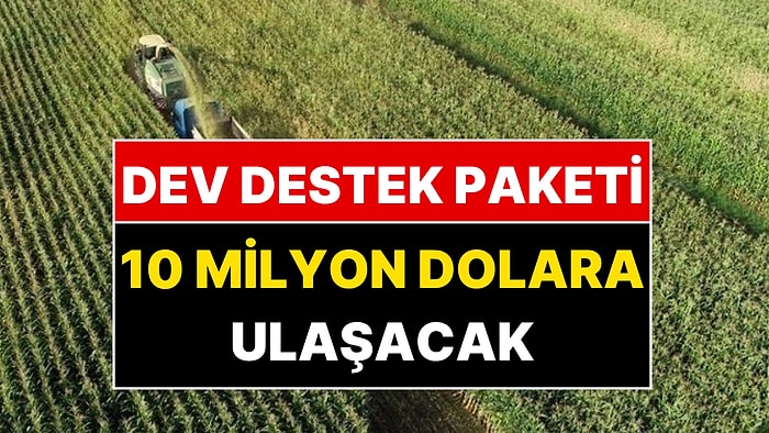 Cumhurbaşkanı Erdoğan Yeni Dev Projeyi Duyurdu: 10 Milyon Dolarlık Destek!