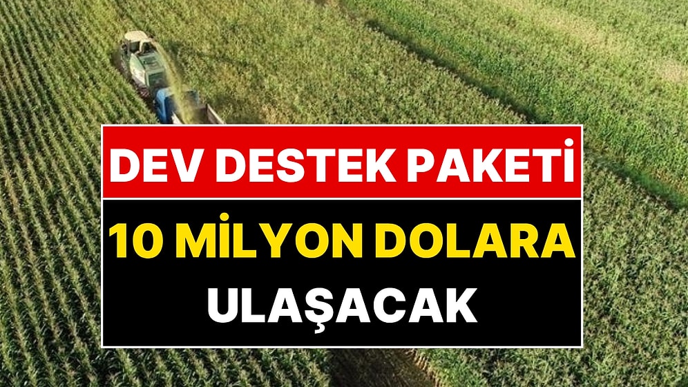 Cumhurbaşkanı Erdoğan Yeni Dev Projeyi Duyurdu: 10 Milyon Dolarlık Destek!