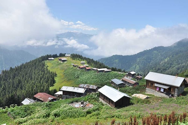 Pokut Yaylası, Çamlıhemşin, Rize