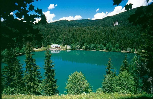 Şavşat-Karagöl Köyü, Artvin