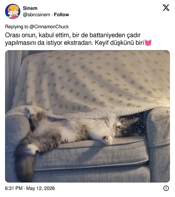 Bu arada farkında olmadan yeni bir akım da başlatmış oldu.