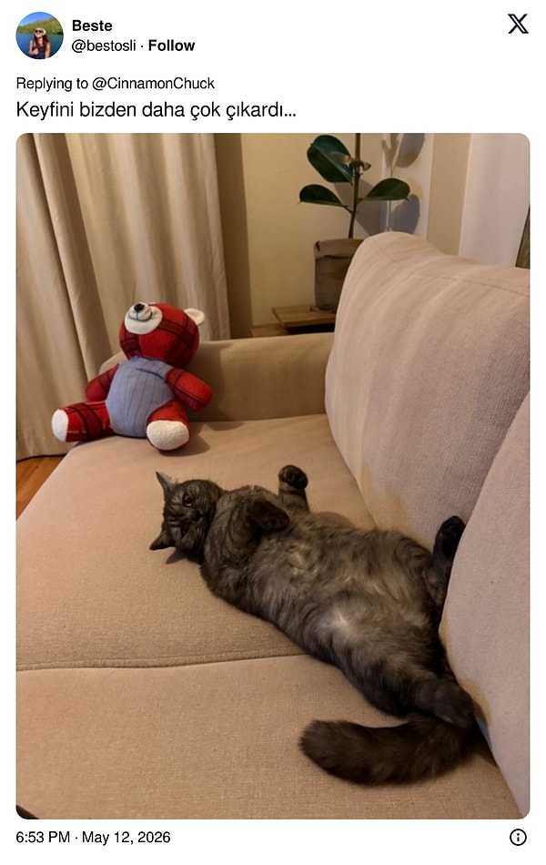 Koca koltukları kaplamaları da ilginç geldi.