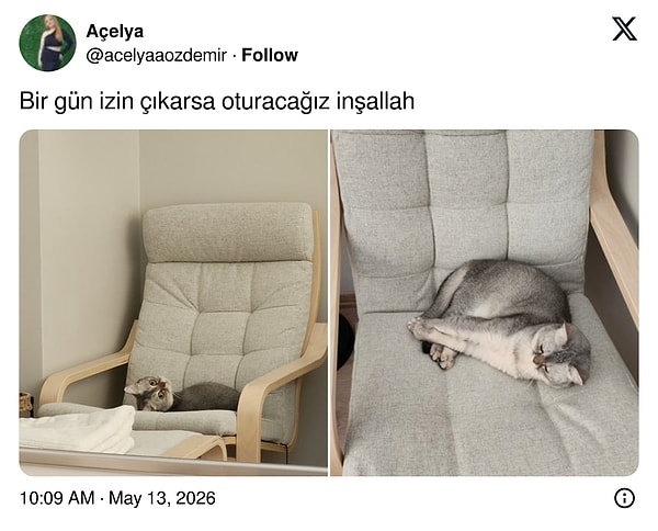 👇