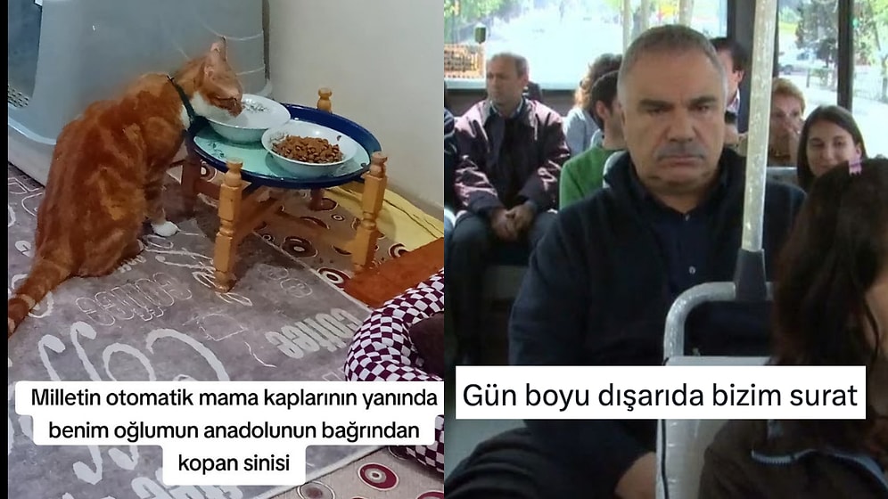 Siniden Yiyen Kediden Yüzünde Güller Açanlara Son 24 Saatin Viral Tweetleri