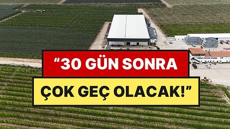 Kilosu 40 Lira Ama Alıcı Yok: 50 Bin Ton Ürün Depoda Satılmayı Bekliyor