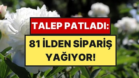 Sadece Yılda Bir Kez Açıyor, Yola Çıktı: Türkiye’nin 81 İli Bu Çiçeği Bekliyor
