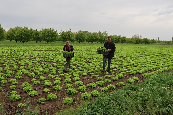 Ova çiftinin kurduğu üretim üssü, bölgedeki işsizliğe de merhem oldu.