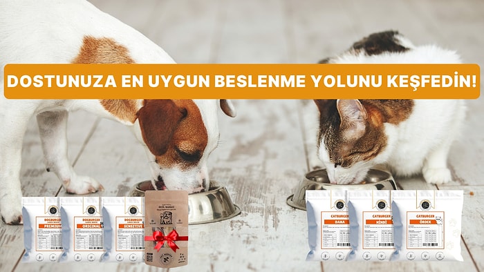 Sadece Karınlarını Doyurmak Yetmez: Kedi ve Köpekler İçin En Doğru Besleme Rehberi