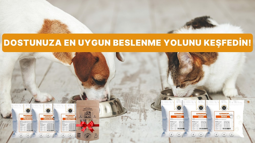 Sadece Karınlarını Doyurmak Yetmez: Kedi ve Köpekler İçin En Doğru Besleme Rehberi