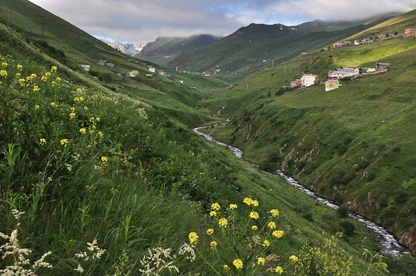 Anzer Yaylası: Rize'nin 2.200-2.500 Metre İrtifasındaki Bal Cenneti