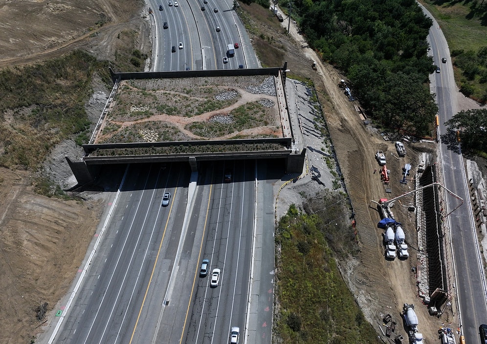 World's Largest Green Bridge Being Built for Wildlife Will Be Closed to All Human Use