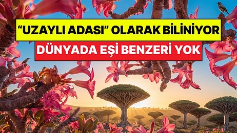 "Uzaylı Adası" Olarak Biliniyor: Gören Herkesi Kendine Hayran Bırakıyor