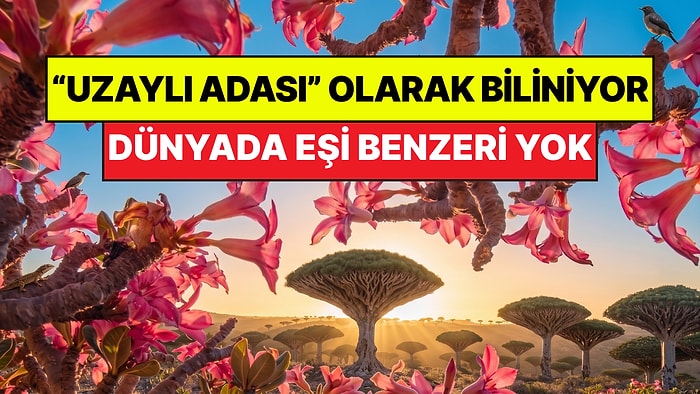 "Uzaylı Adası" Olarak Biliniyor: Gören Herkesi Kendine Hayran Bırakıyor