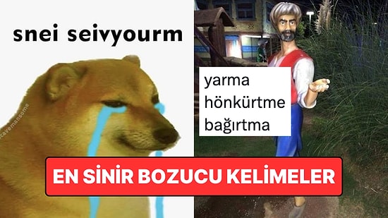 Duyulduğunda Tüyleri Diken Diken Eden Sinir Bozucu Kelimeler