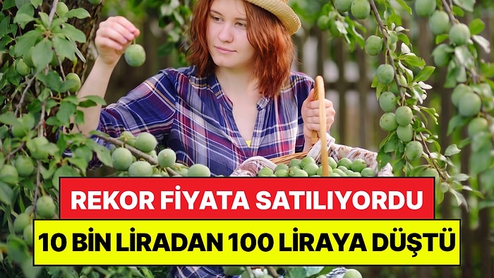 Rekor Fiyata Satılıyordu: Kilosu 10 Bin Liradan 100 Liraya Düştü