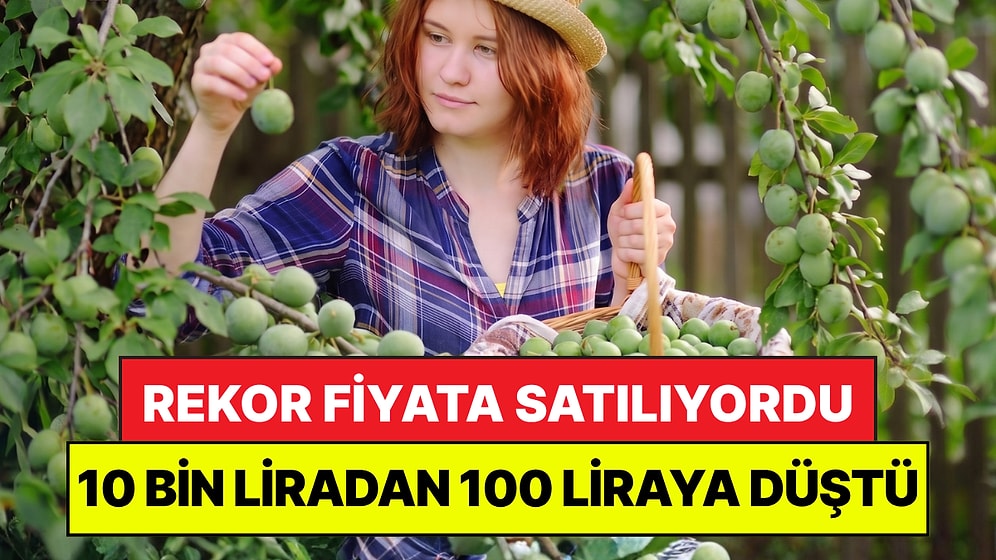 Rekor Fiyata Satılıyordu: Kilosu 10 Bin Liradan 100 Liraya Düştü