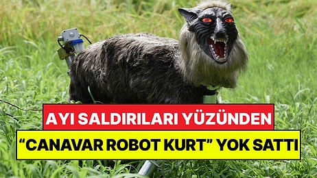 Ayılardan Kurtulmak İçin "Canavar Kurt" Yaptılar: Her Yerde Yok Satıyor