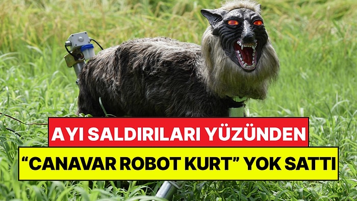 Ayılardan Kurtulmak İçin "Canavar Kurt" Yaptılar: Her Yerde Yok Satıyor
