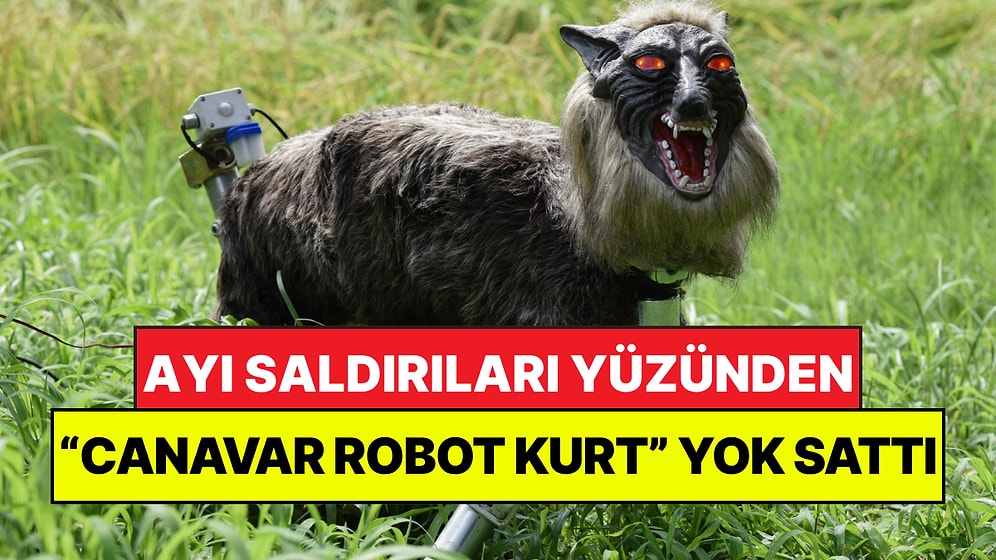 Ayılardan Kurtulmak İçin "Canavar Kurt" Yaptılar: Her Yerde Yok Satıyor