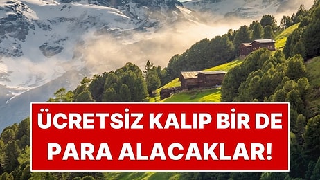 Turizm Cennetinde 1 Ay Ücretsiz Kalacaklar, Üstüne Para Alacaklar