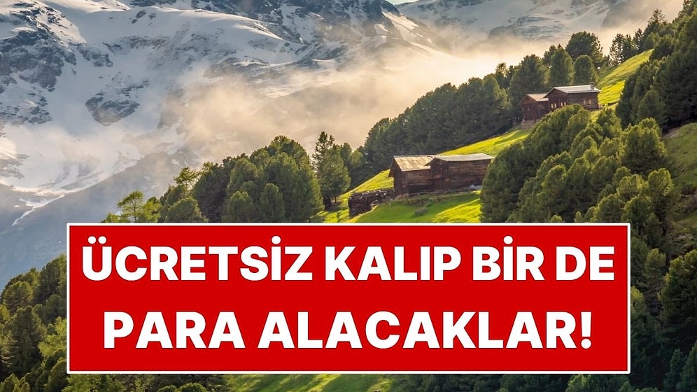 Turizm Cennetinde 1 Ay Ücretsiz Kalacaklar, Üstüne Para Alacaklar