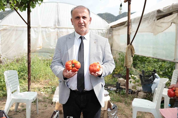 Tarihi süreçte şekli nedeniyle dışlanan mahsul şimdilerde sofraların en kıymetli ögesi haline geliyor.