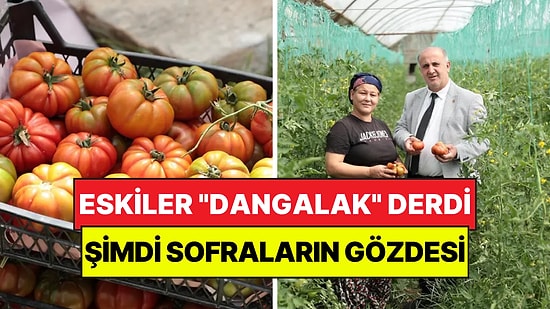 Eskiler "Dangalak" Diyordu: Şimdi Kilosu 100 Liradan Kapış Kapış Gidiyor