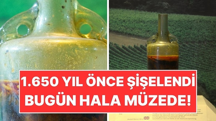 1.650 Yıllık Şarap Şişesini Açmaya Kimse Cesaret Edemiyor