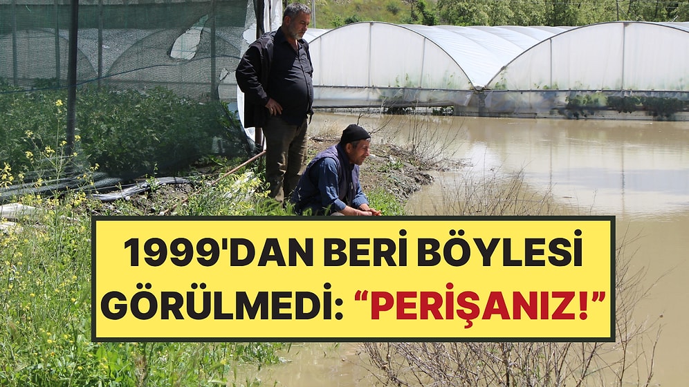 Umutla Ektiler, Hasat Edemeden Sezonu Kapattılar: 500 Dönüm Arazi Sular Altında Kaldı