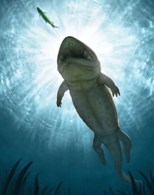 Bu keşfi paleontoloji dünyasında mucize kılansa, fosilin içinde bulunduğu kayaç türü.
