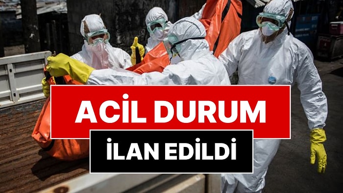 Dünyanın Gözü Hantavirüsteydi, Kötü Haber Başka Yerden Geldi