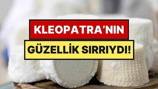 Dünyanın En Pahalı Peyniri Ne İnek Sütünden Ne Keçi Sütünden Yapılıyor: Kilosu 52 Bin TL