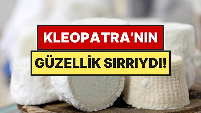 Dünyanın En Pahalı Peyniri Ne İnek Sütünden Ne Keçi Sütünden Yapılıyor: Kilosu 52 Bin TL