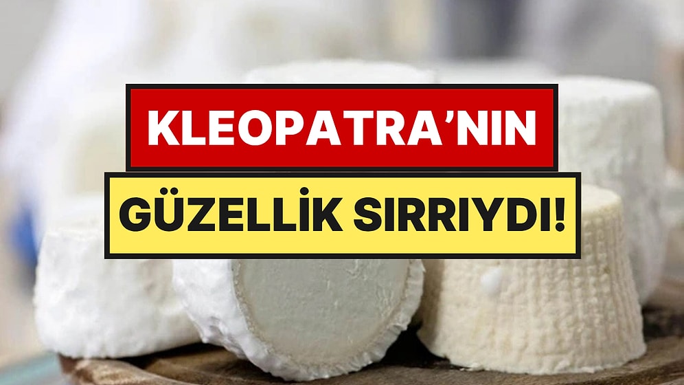 Dünyanın En Pahalı Peyniri Ne İnek Sütünden Ne Keçi Sütünden Yapılıyor: Kilosu 52 Bin TL