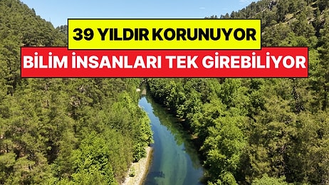 Türkiye'nin 39 Yıldır Korunan Doğa Hazinesi: Bilim İnsanları Hariç Kimse Giremiyor